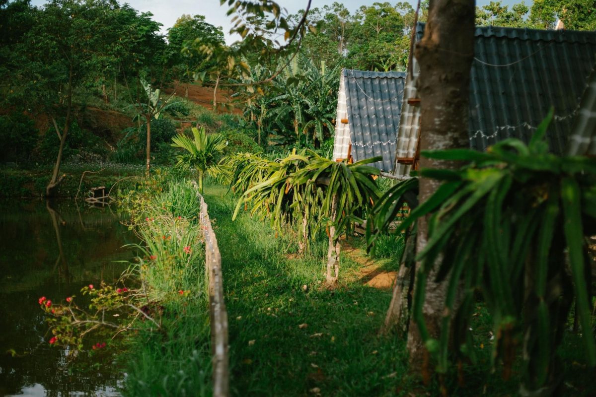 Homestay Vĩnh Phúc lựa chọn lợp mái ngói nhựa HMC