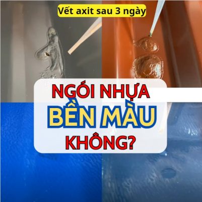 Ngói Nhựa Nhập Khẩu Có Bền Màu Không