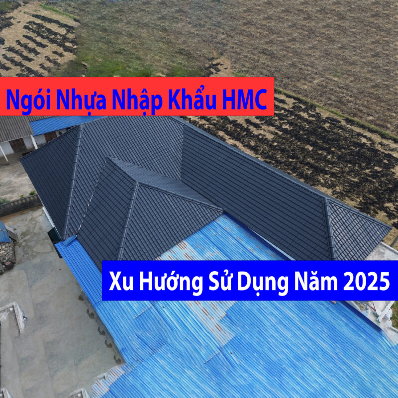 xu hướng ngói lợp năm 2025