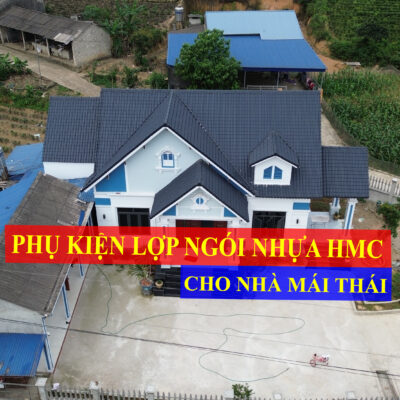 phụ kiện ngói nhựa nhập khẩu mái thái